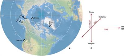 Copepod Life Strategy and Population Viability in Response to Prey Timing and Temperature: Testing a New Model across Latitude, Time, and the Size Spectrum